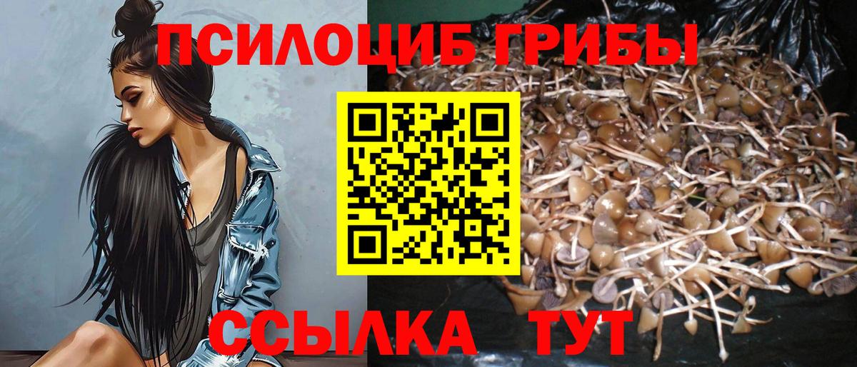 Галлюциногенные грибы GOLDEN TEACHER Нижневартовск